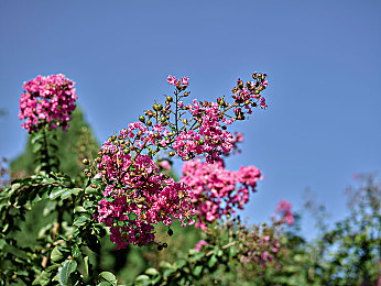 男人的 伸到男人 里爽的很｜单身女子家中惊遇猥琐男子，非法侵入住宅事件引发社会关注-2