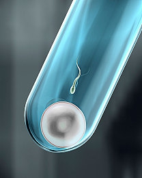 权力的游戏一至八季福利总结|权游八季精彩回顾:视听盛宴与文化现象共舞-1