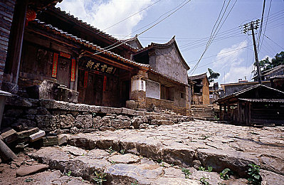 白子ちゃんが人気の原因|白子ちゃんの人気爆発!明るい性格と多様な活動で若者たちに影響力を持つスターの秘密を解説-1