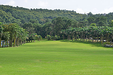 91麻豆天美精东果冻传媒｜沉浸式互动探秘，数字内容新纪元之旅-1