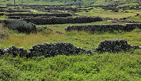 91抖音｜91抖音崛起：短视频新宠颠覆传统内容传播，打造视觉盛宴社交圈-2