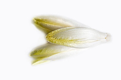 火影黄色游戏｜忍者冒险新体验，勇闯刺激未知世界-1