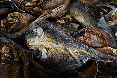 91香草视频|短视频平台创新挑战并存,91香草视频引领行业未来之路-1