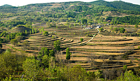 伦理漂亮的岳 9｜道德光辉下的美丽传奇：岳9的善行之旅
