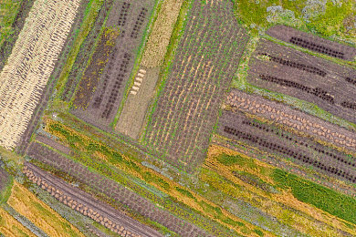 lutube轻量版下载ios下载官方｜lutube轻量版应用iOS版官方下载开启，流畅体验免费享海量视频