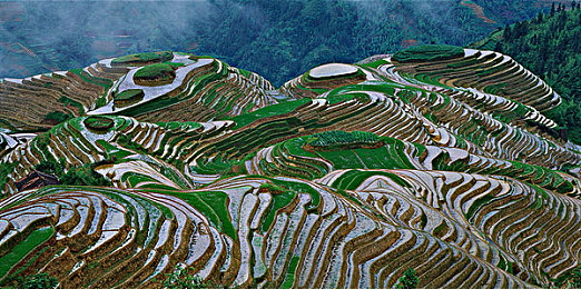 卖的学生一般去哪里找｜教育资源背后的阴影：揭秘“卖学生”现象背后的秘密与挑战