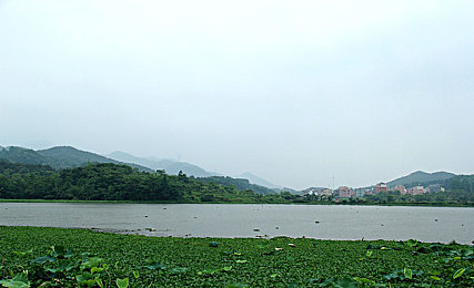 体育生Gay脱裤子自慰无遮挡｜高校体育生视频事件引发性取向与道德热议-2