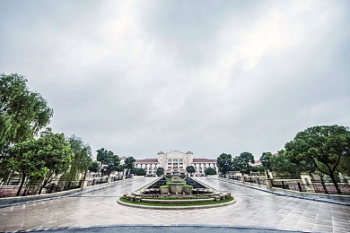 色资源|《色资源》奇幻冒险之旅:探寻宝藏之旅,玩家好评如潮-2