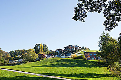 黄色软件免费OPPO｜OPPO畅享盛宴，免费游戏畅玩无忧-2