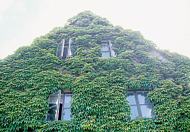 捆绑直男体育生搾精呻吟|揭秘捆绑恶行,守护网络尊严:直男体育生惊魂事件-1