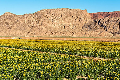 18款禁用免费安装的软件app｜揭秘18禁，隐私护航：避开这些免费APP，守护你的数字安全-2