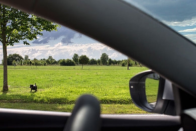 黄色软件在线免费观看|畅享视觉盛宴,免费观影新体验,尽在高清黄色软件平台-3