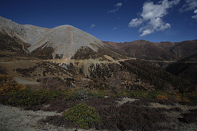 少妇免费直播｜直播潮涌：“少妇”免费直播现象解析与启示-2