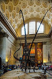 男生女生叉叉叉软件｜社交新纪元：趣味互动，安全畅游“男生女生秘境”