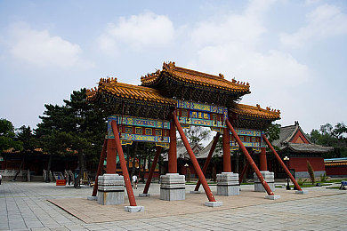 小马拉大车之母爱｜母爱无疆，罕见疾病家庭共筑温情堡垒-1