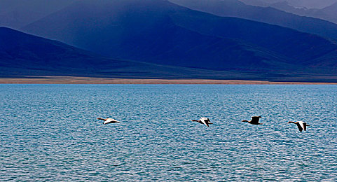 裸男自慰Gay多毛洗澡｜社交平台裸男自慰图片引发热议：言论自由与道德底线如何平衡？-2
