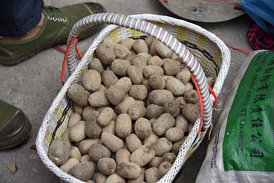 天堂a8｜科技赋能，智慧天堂A8引领新型城镇化新风尚-2