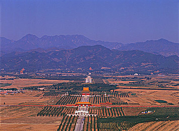 天天操操｜轻松塑形，高效养生：“天天操操”带你开启健康生活新篇章-2