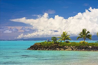 黄色tv｜探索高效视频制作，黄色TV助力创作盛宴-3