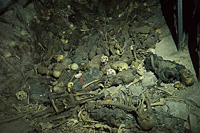 Free   性HD另类动漫｜网络迷踪：守护青少年的高清世界-2