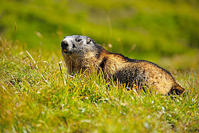 五月婷婷网｜社交平台新兴巨头崛起，信息安全亟需关注-1