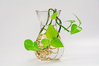 裸体APP｜网络迷雾中的裸体陷阱：揭秘“裸体APP”事件背后的道德危机-2