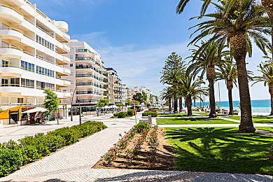 np古代p｜千年古墓现神秘符号“np古代p”，考古学家破解古代文化之谜-2