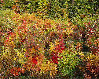 国产不卡网|畅享高清,国产不卡,观影新境界-3