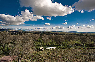 粪を食べましょう大便｜粪便新食法引发热议：日本研究称含健康元素，专家倡导“粪便食用”理念挑战传统观念