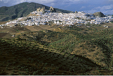 台湾小伙子GayFuckSex|台湾小伙子勇敢出柜,LGBTQ+生活精彩瞬间引关注-2