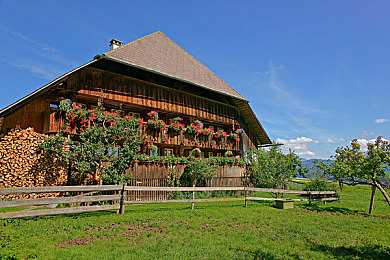 西施翻白眼流眼泪流口水｜现代科技再现奇观：西施翻白眼流眼泪之谜，揭秘千古佳丽神秘面纱-2