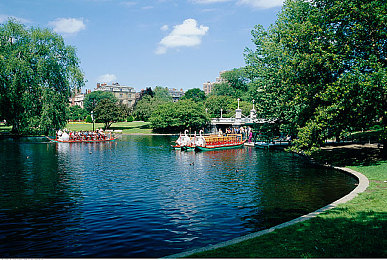 好 色 先 生丅Ⅴ｜网络红人“好色先生Ⅴ”：激荡言论，社会现象探析