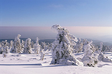 国外B站刺激战场直播APP下载｜全球竞技盛宴，刺激战场直播，畅享极限对决