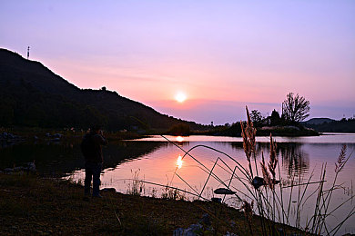 魅影网站入口｜“揭秘魅影网站入口：网络安全部门成功关闭非法平台，守护清朗网络空间”