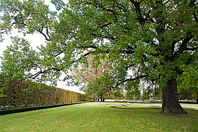 麻豆李蓉蓉|时尚新星李蓉蓉:璀璨舞台,独领风骚-1