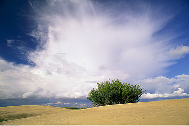 77v7vcc的图片|都市光影梦想之旅-1