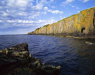 春雨APP｜春雨APP助力便捷医疗咨询，创新平台引领健康生活新风尚-1