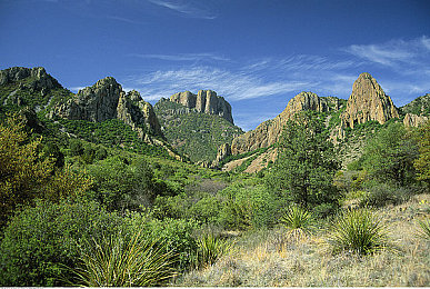 壮汉被书生C到合不拢腿｜智慧对决，壮汉书生，谁主沉浮？-4