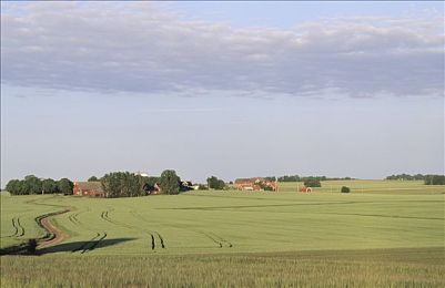 18+触摸互动游戏+黄油苹果｜激情互动，视觉盛宴：触摸黄油苹果奇幻之旅-1