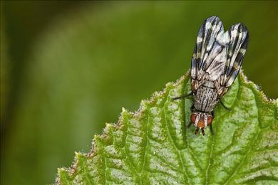 黑料不打烊zzzttt｜社交名人之争,隐私与舆论的博弈