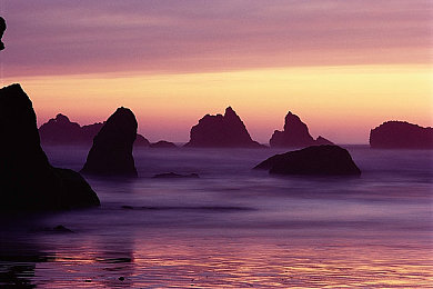 男体育生控精自慰打飞网站｜知名网站涉黄事件：青少年身心健康受威胁，严打网络不良信息-2