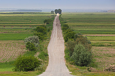 二人生猴子全程不盖被子｜猴子裸育挑战：自然法则与人类干预的边界-2