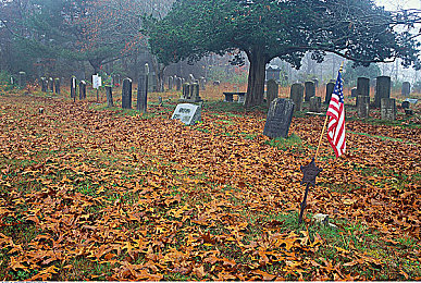 juliaann办公室与黑人｜Julia Ann办公室：黑人奋斗传奇之旅-2