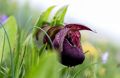 火箭少女流豆浆｜火箭少女跨界流豆浆，传统美食焕新活力，文化潮流盛宴来袭-3