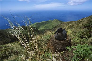 一亲二注三注免费使用指南｜揭秘“一亲二注三注”：畅享便捷数字生活新篇章-2