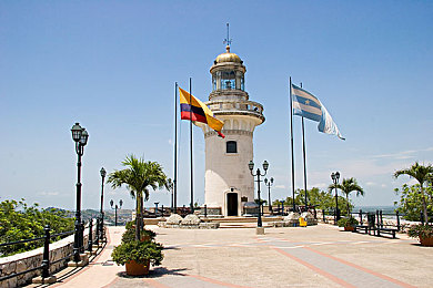 8 8 海外华人免费入口|海外家园,心灵桥梁,共融成长之旅-2