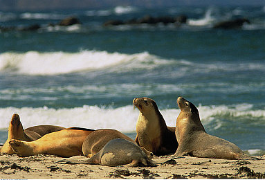 在厨房做爱|浪漫厨房,爱情调味之旅-3