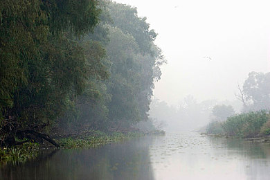 体育生自愿被扒裤玩J|校园奇缘:友谊与挑战的青春纪-1