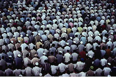 美国美女群体交乱｜美国美女社交盛宴：揭秘时尚派对与慈善晚宴的精彩瞬间-1