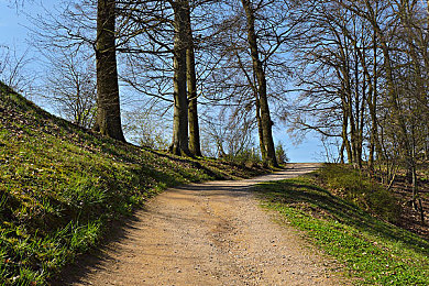 麻豆国产AV超爽剧情系列｜国产成人影视的创新之路与社会反响-3